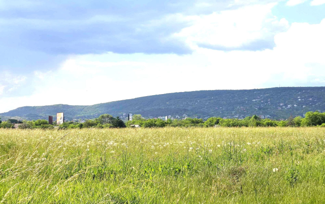 Budapest XI. kerület ingatlanok