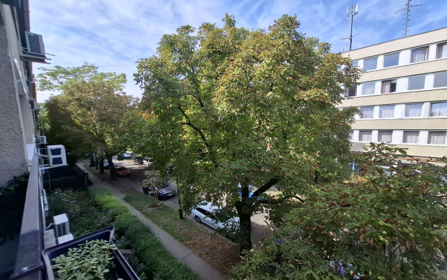 Budapest XI. kerület ingatlanok