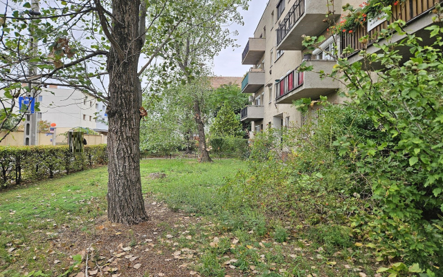 Budapest IV. kerület ingatlanok