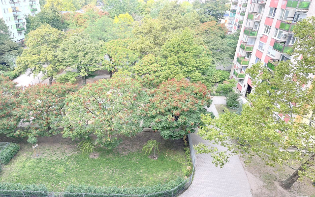 Budapest XIII. kerület ingatlanok