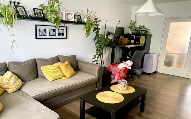 Budapest X. kerület ingatlanok