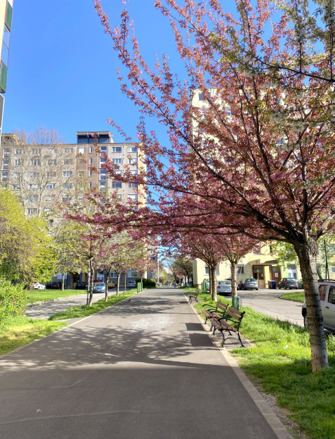 Budapest X. kerület ingatlanok