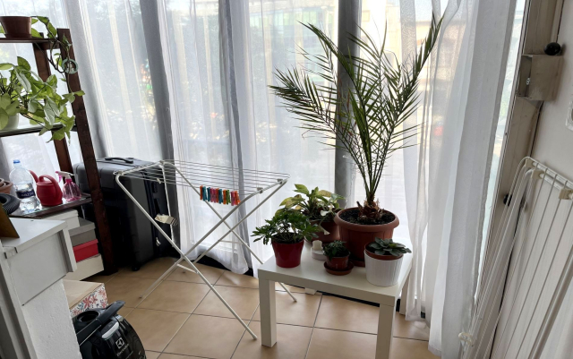 Budapest XIII. kerület ingatlanok