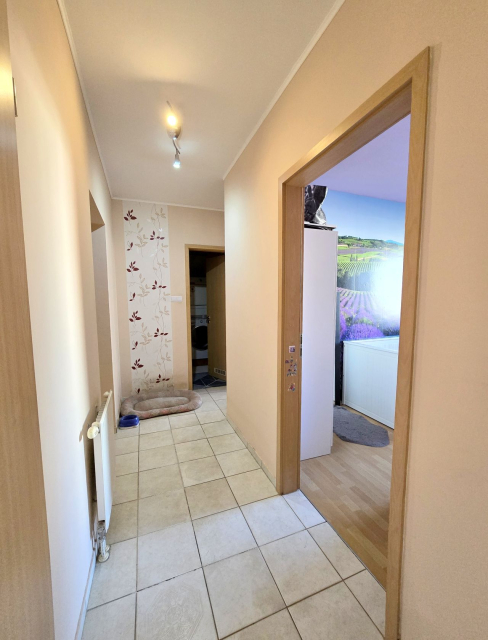 Budapest X. kerület ingatlanok