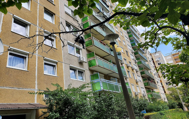 Budapest IV. kerület ingatlanok