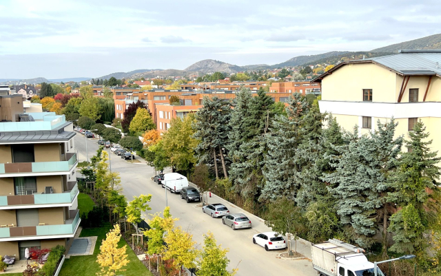 Budapest XI. kerület ingatlanok