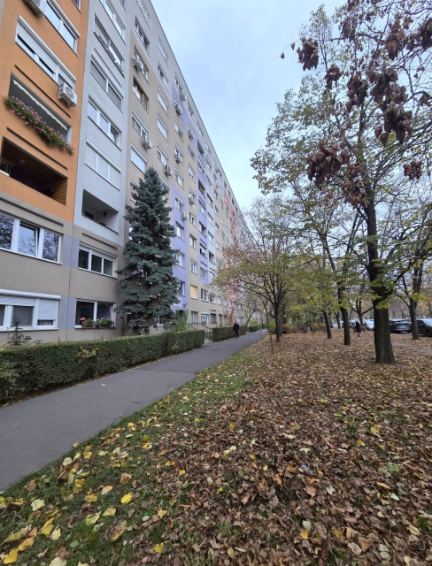 Budapest XI. kerület ingatlanok