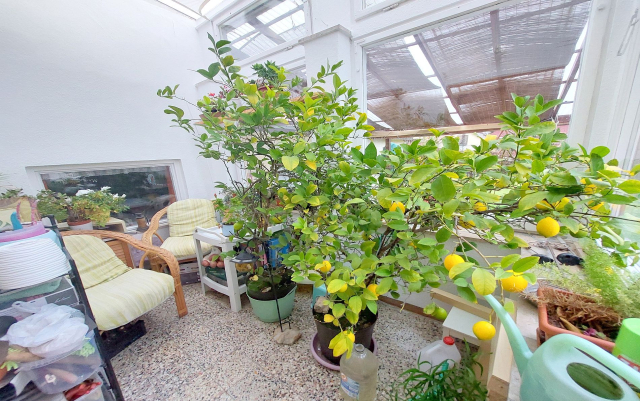 Budapest XVII. kerület ingatlanok