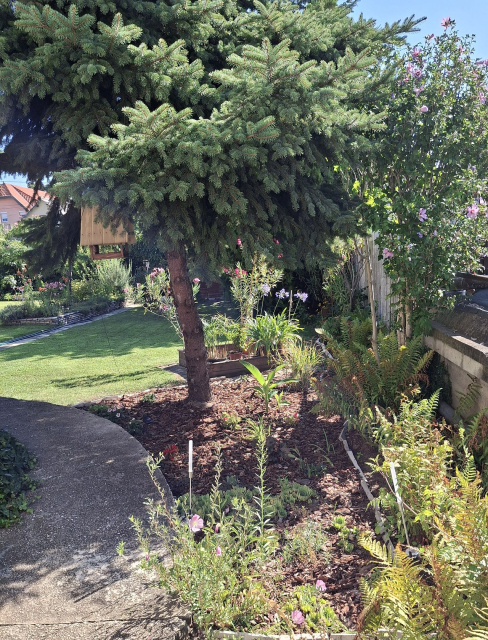 Budapest XVII. kerület ingatlanok