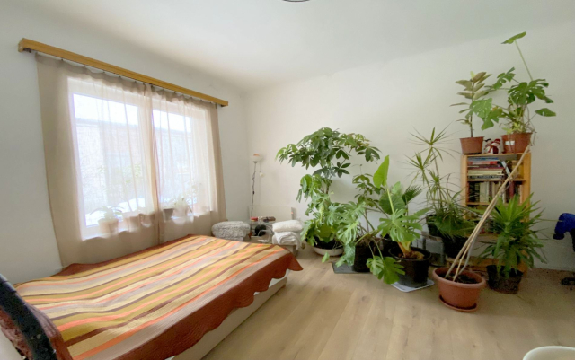 Budapest XV. kerület ingatlanok