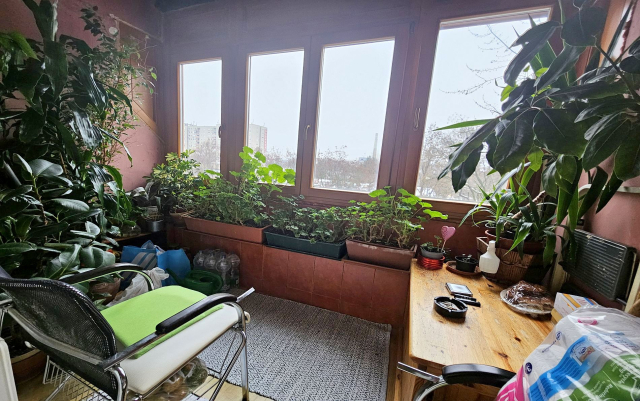 Budapest III. kerület ingatlanok