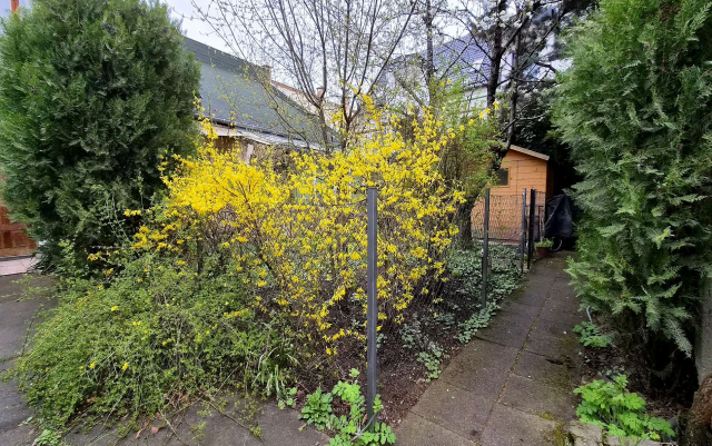 Budapest IV. kerület ingatlanok