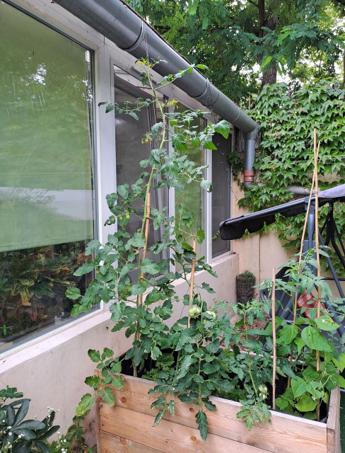 Budapest IV. kerület ingatlanok