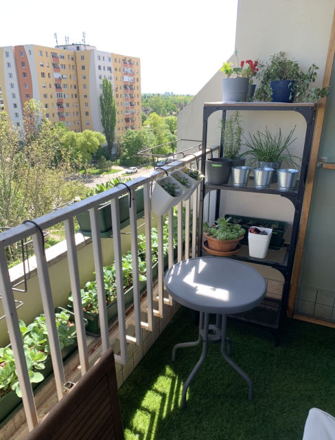 Budapest III. kerület ingatlanok