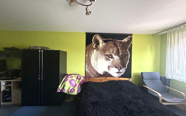 Budapest III. kerület ingatlanok