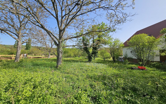 Budapest III. kerület ingatlanok
