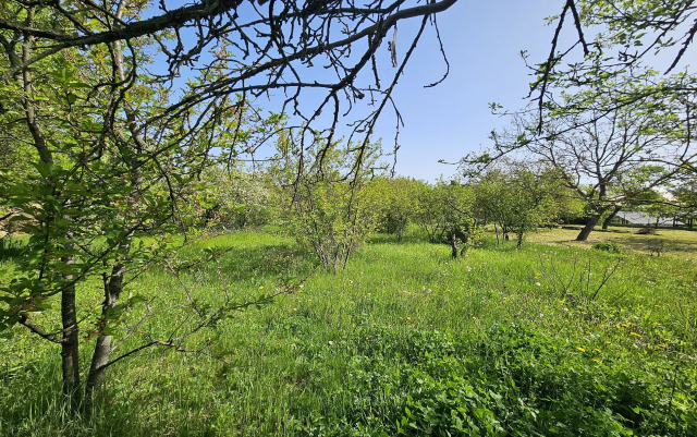 Budapest III. kerület ingatlanok