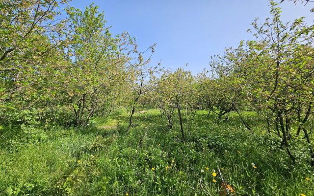 Budapest III. kerület ingatlanok