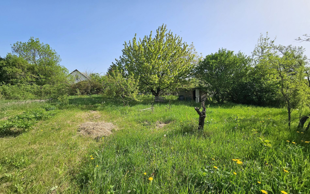 Budapest III. kerület ingatlanok