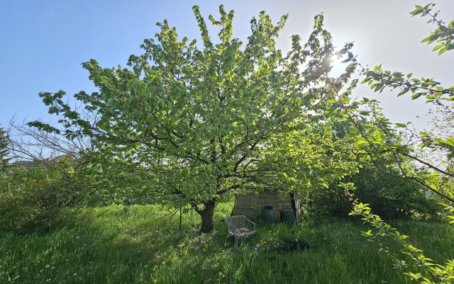 Budapest III. kerület ingatlanok