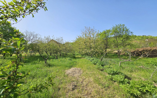 Budapest III. kerület ingatlanok