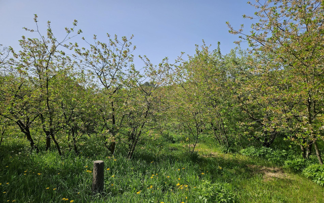 Budapest III. kerület ingatlanok