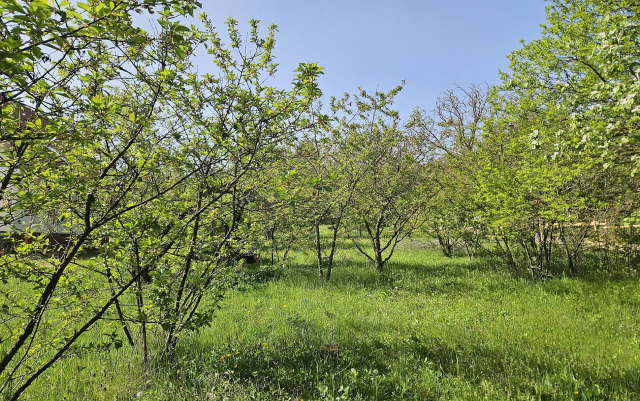 Budapest III. kerület ingatlanok