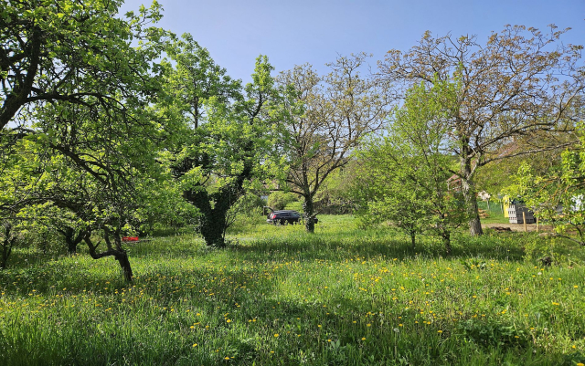 Budapest III. kerület ingatlanok
