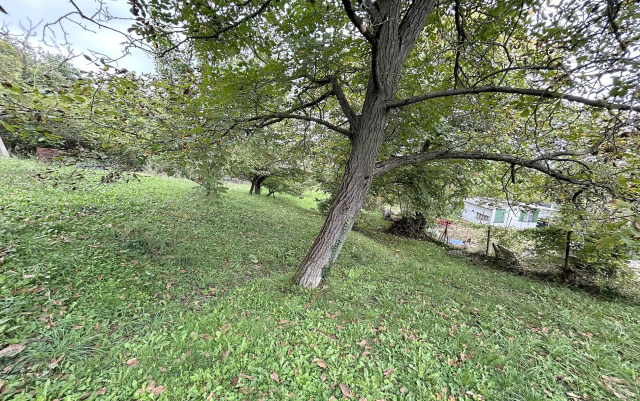 Eladó Telek Budapest III. kerület Róka-hegy