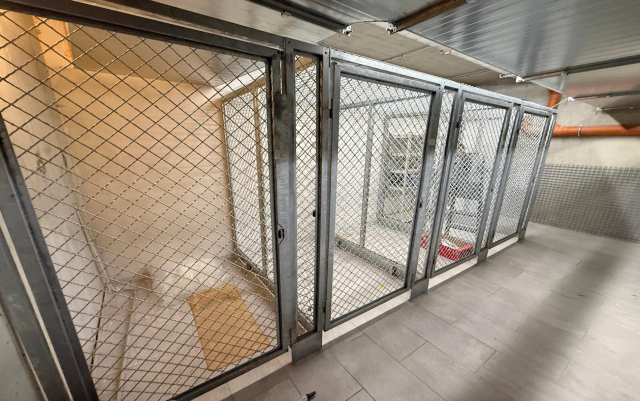 Budapest VIII. kerület ingatlanok