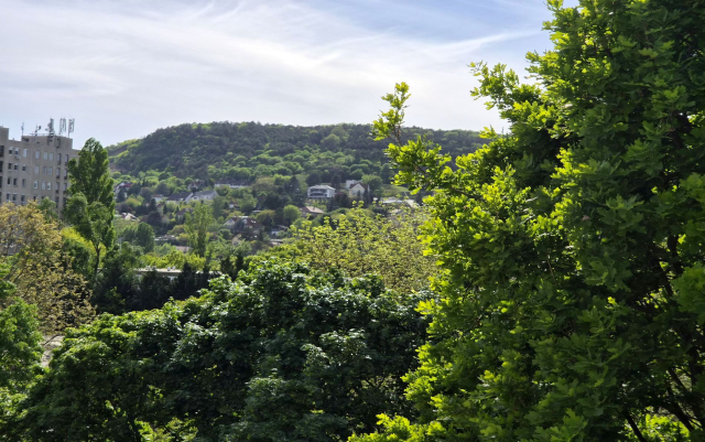 Budapest III. kerület ingatlanok