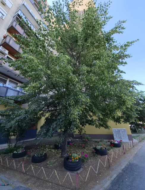 Budapest IV. kerület ingatlanok