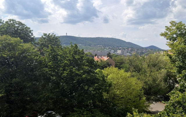 Budapest III. kerület ingatlanok