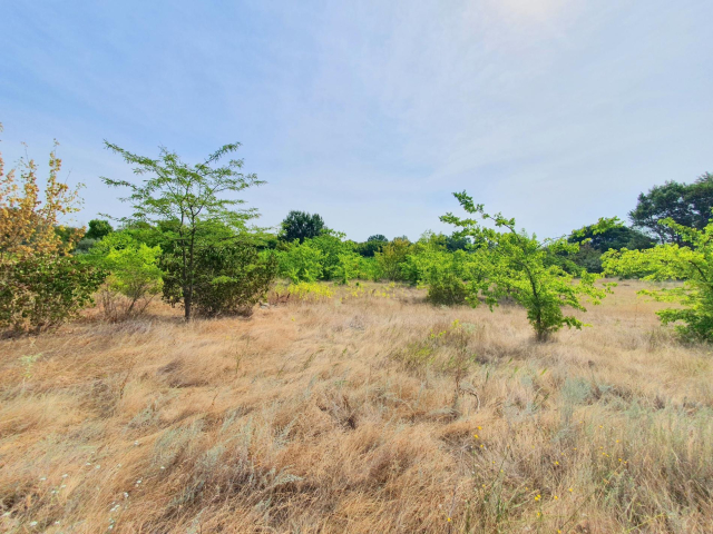 Budapest XVI. kerület ingatlanok