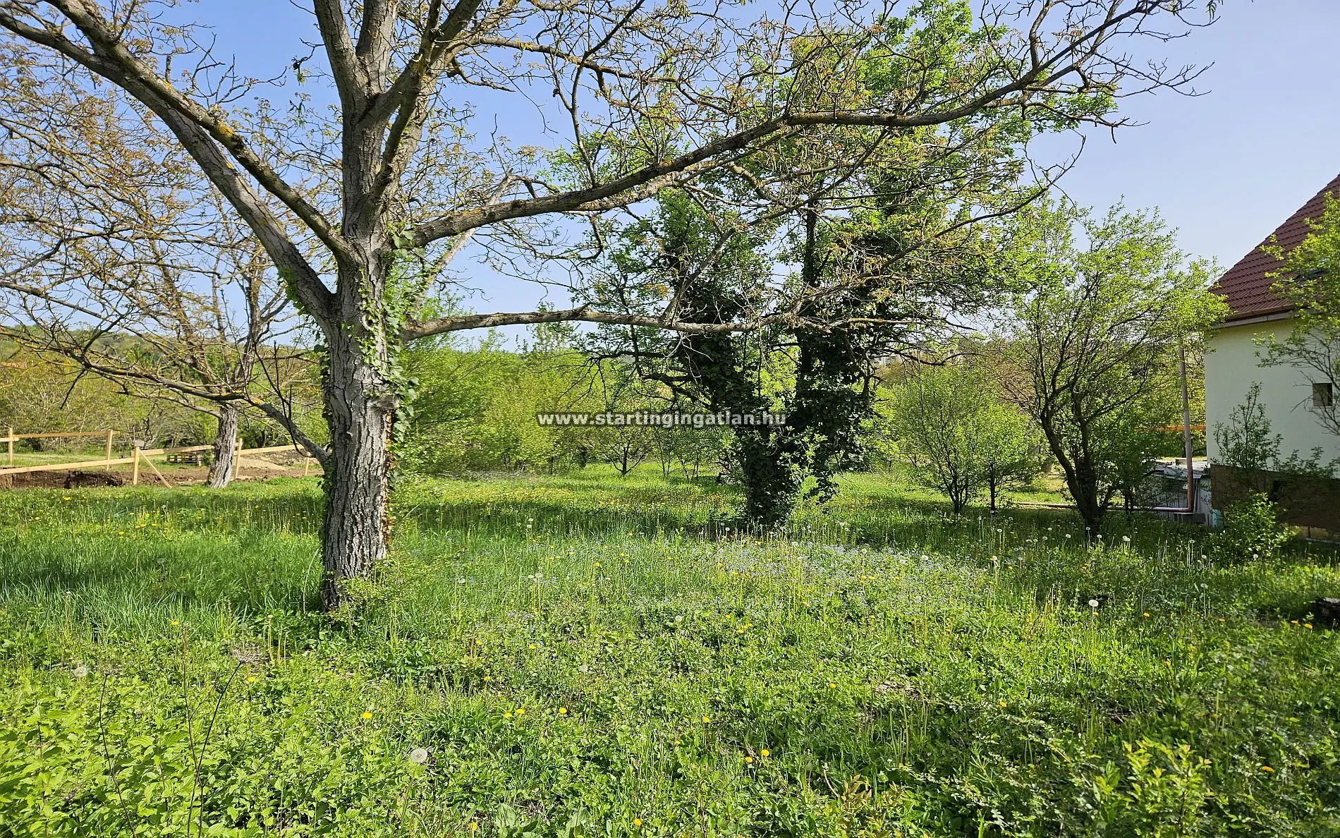 Eladó Telek Budapest III. kerület, Óbor köz fotó