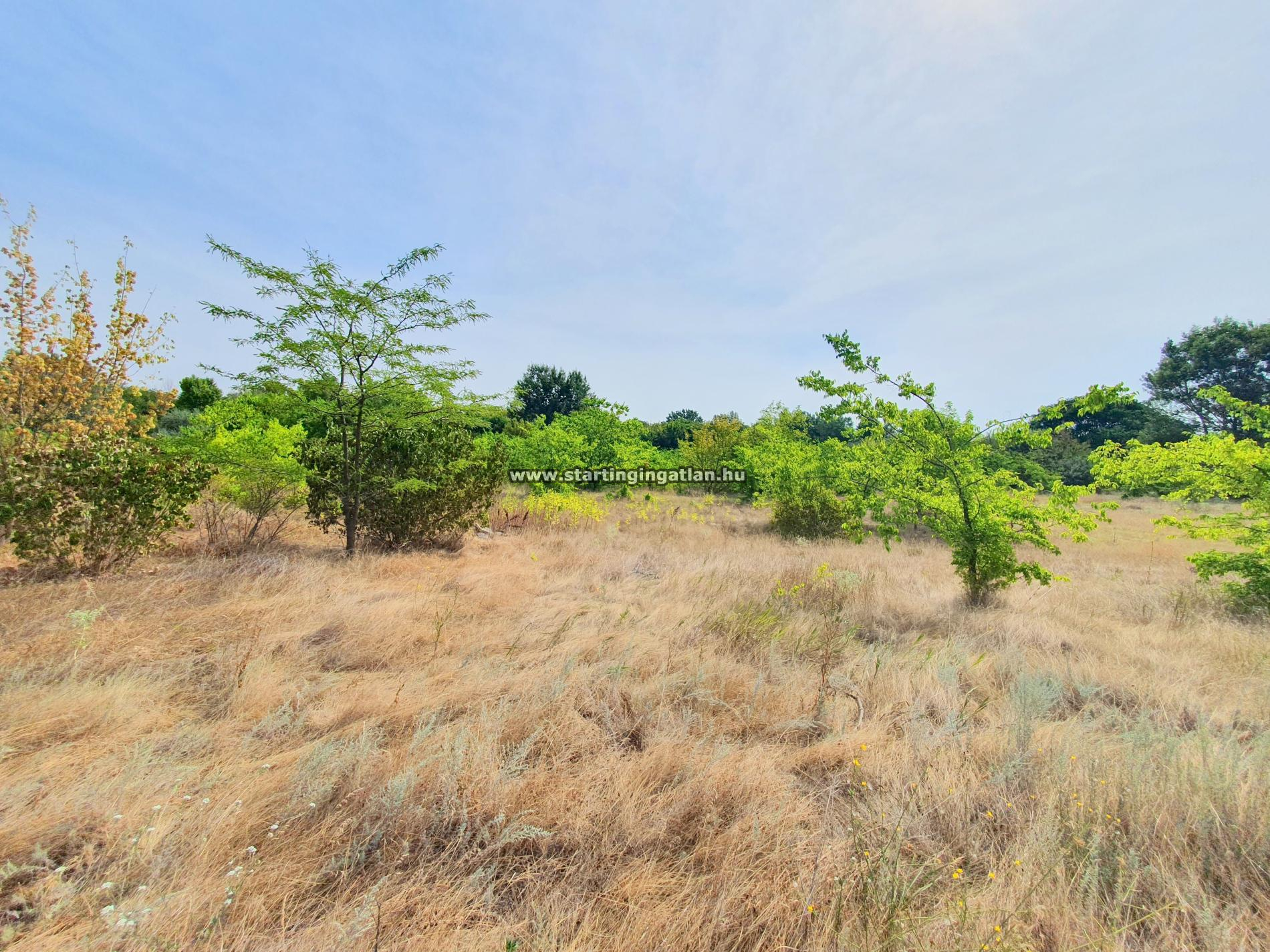 aaaaaaEladó Telek Budapest XVI. kerület