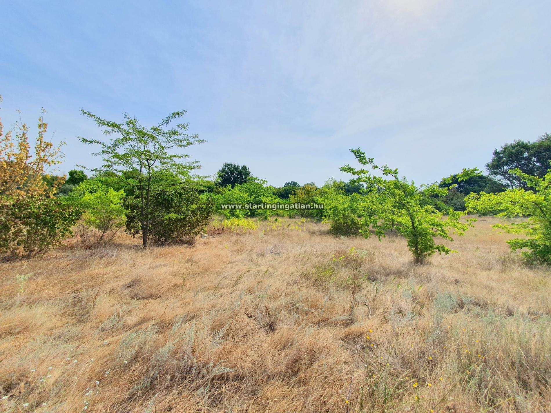 aaaaaaEladó Telek Budapest XVI. kerület