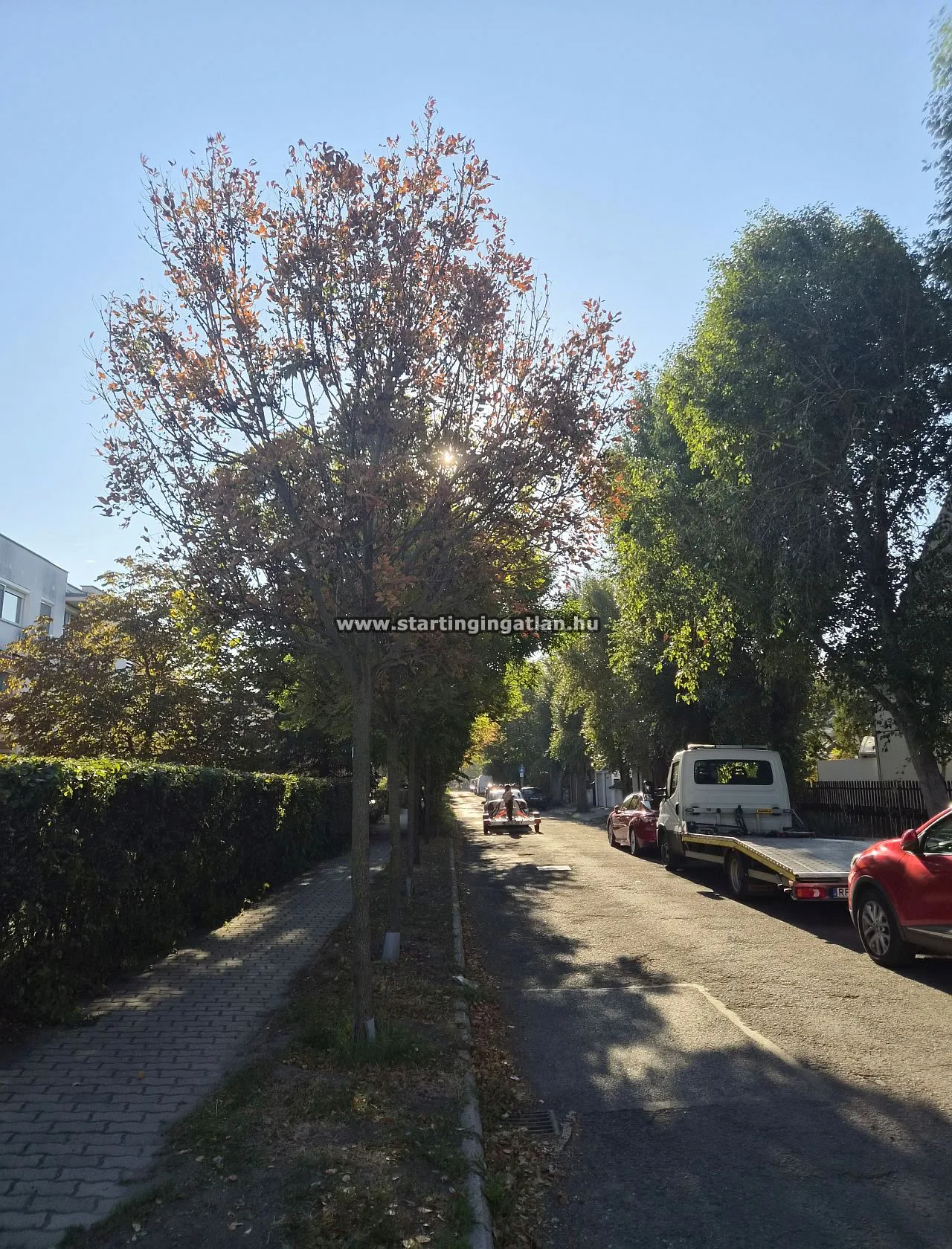 Eladó Garázs Budapest IV. kerület, Szilaspatak sor kép 6